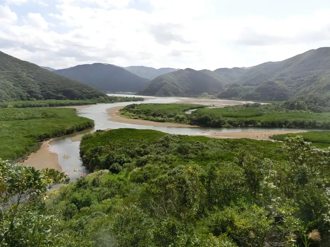 Hotels near Kuroshio no Mori Mangrove Park
