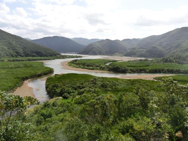 Kuroshio Forest Mangrove Park.