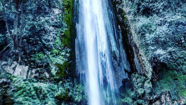 Tiger Fall -Chakrata