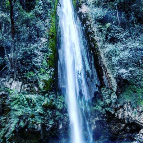 Tiger Fall -Chakrata