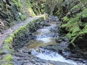 Puck's Glen