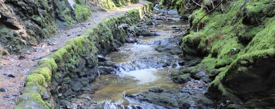 Puck's Glen
