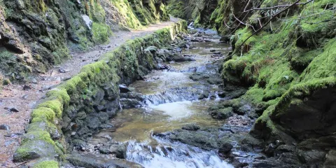 Puck's Glen
