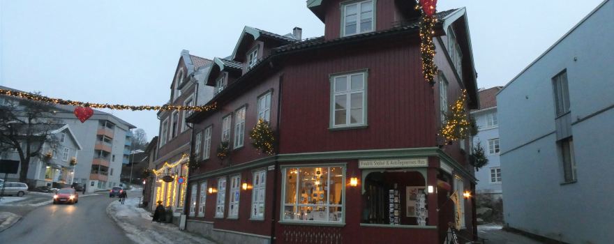 Avistegnernes Hus