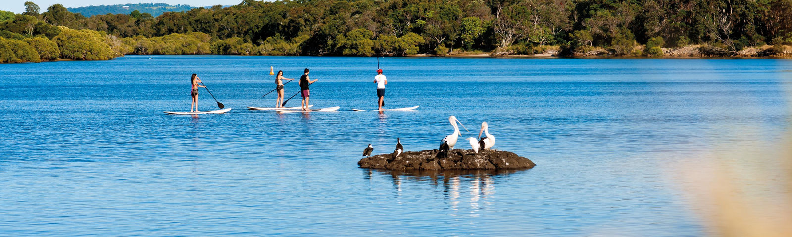 КингклиффКатание на лодке или под парусом