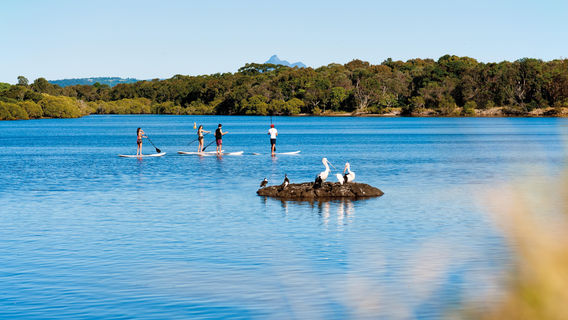 Watersports Guru - Kayak & Paddleboard hires