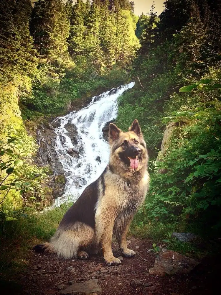 Hotels near Perseverance Trail