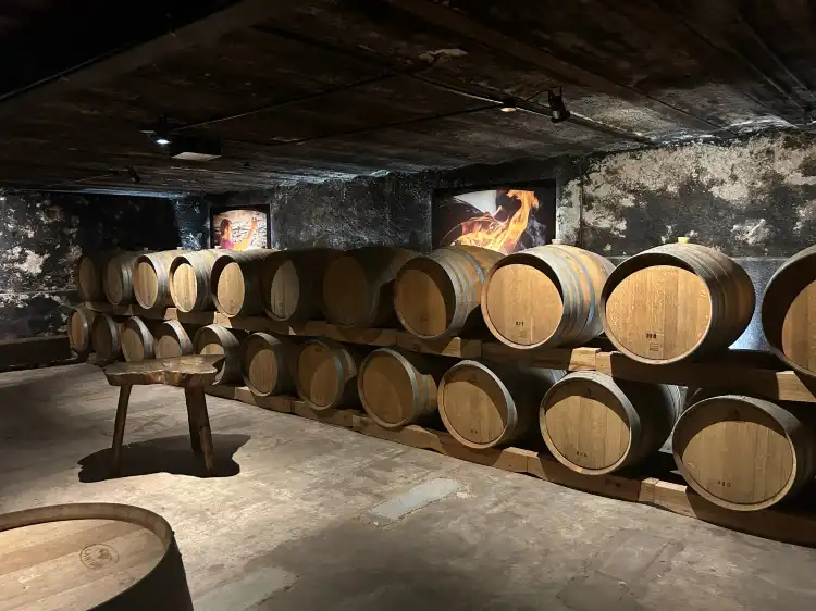 Hotels in Le Syndicat