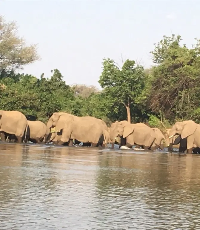 Chongwe
