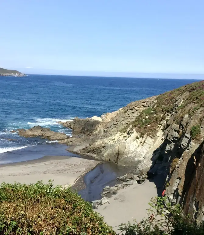 Navia