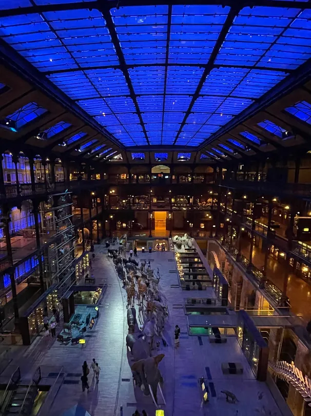 4_Grande Galerie de l'Evolution