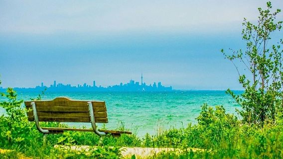 Rattray Marsh Conservation Area