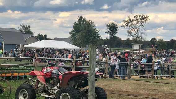 Irons Mill Farmstead