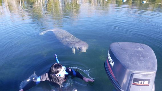 Homosassa Fishing Charters
