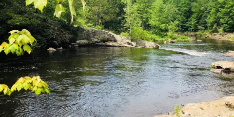 Austin T. Blakeslee Natural Area