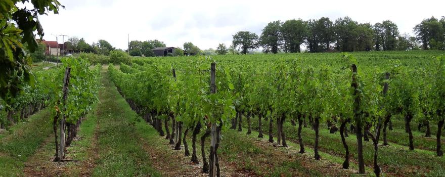 Cave Viticole De Branceilles