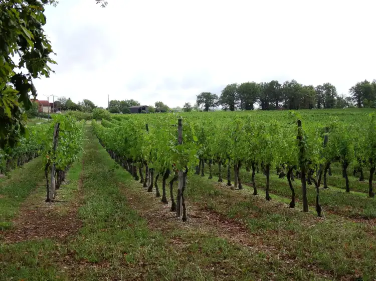 Hotels in Correze