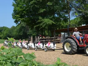 Copper Creek Farm