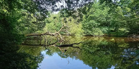 Les Jardins du Château de Kerambar'h