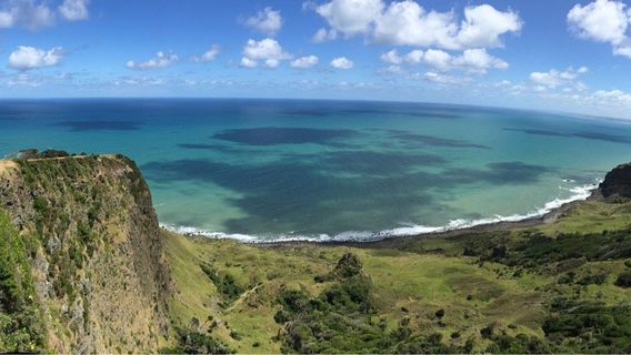 Te Toto Gorge Lookout