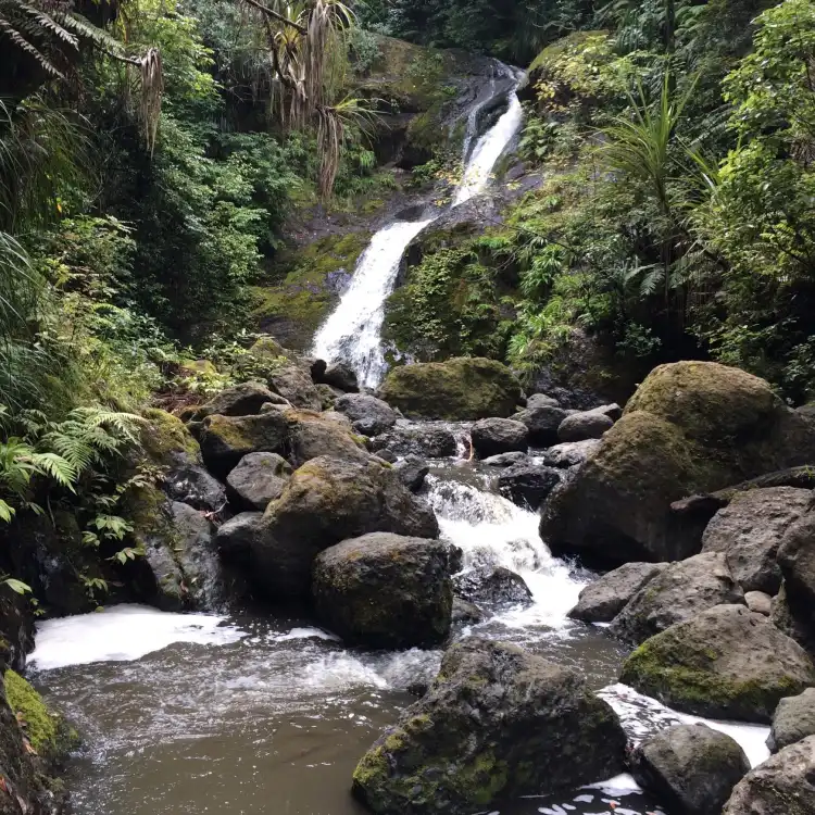 Hotels near Opononi Beach