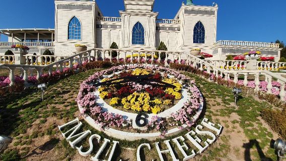 Imsil Cheese Theme Park