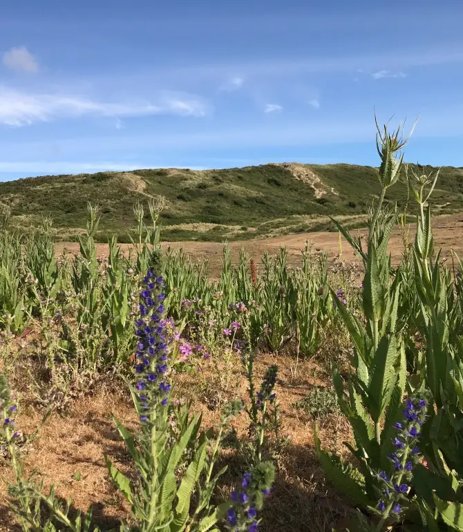 Les Moitiers-d'Allonne