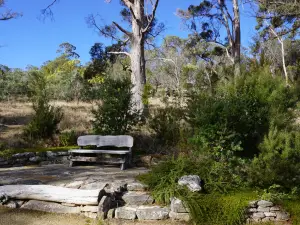 Tasmanian Bushland Garden