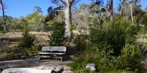 Tasmanian Bushland Garden
