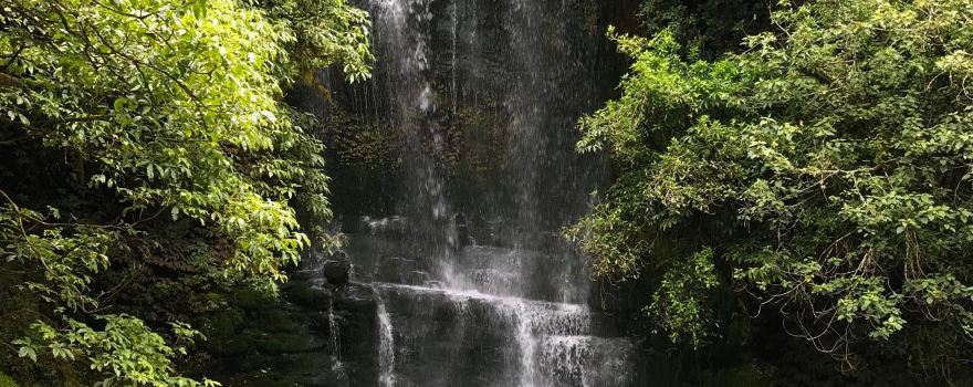 Waitanguru Falls