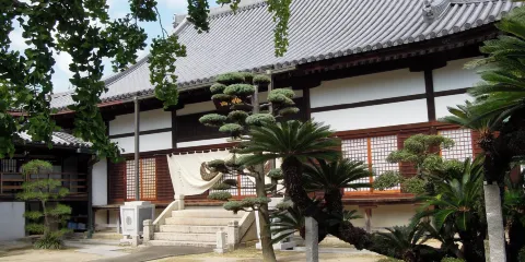 隨鴎寺