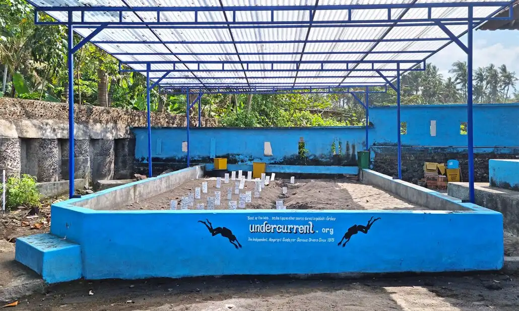 Hotel in zona Saba Asri Turtles Conservation