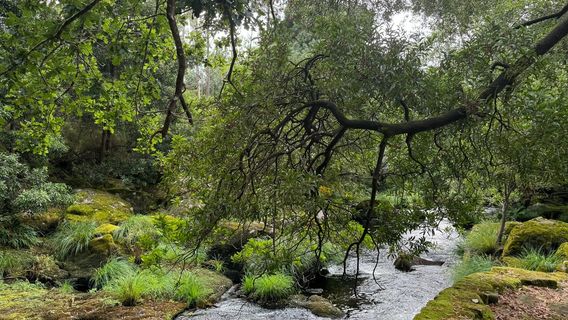 Los Batanes de Mosquetin