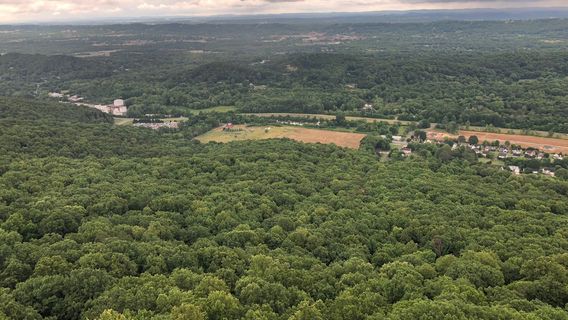 Carroll County