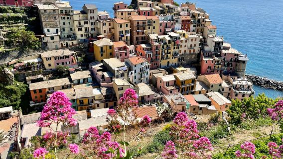 Manarola