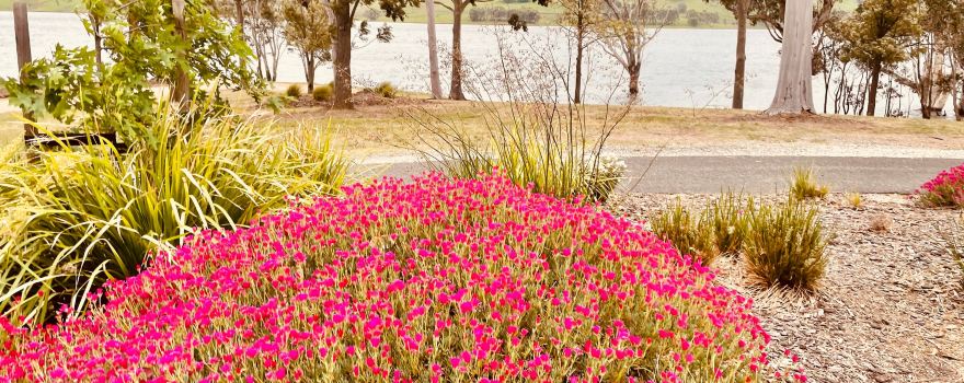 Tallangatta