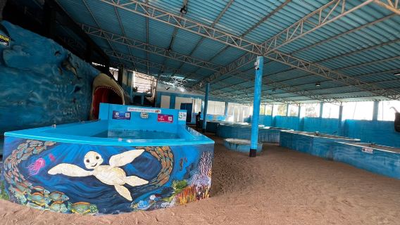 Ahungalla Sea Turtles Conservation Project
