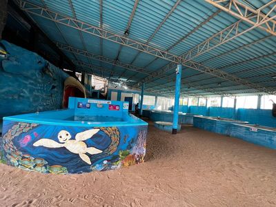 Ahungalla Sea Turtles Conservation Project