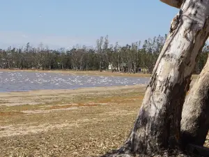 Lake Broadwater Conservation Park