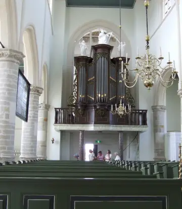 Scherpenisse