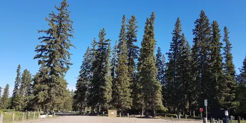 Little Red River Park