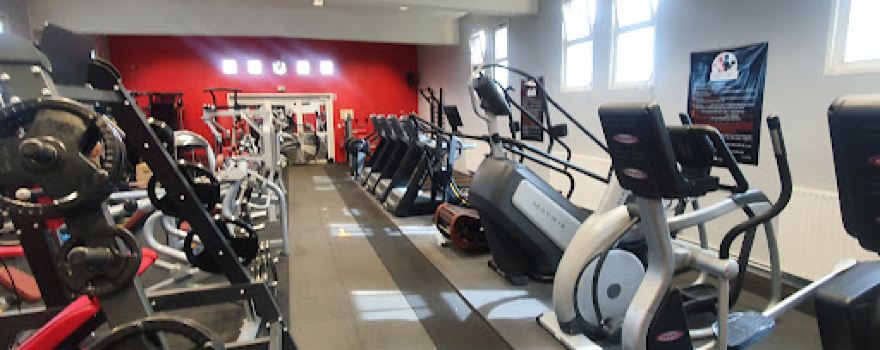 Body Fitness