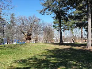 Parc de la Lombardière