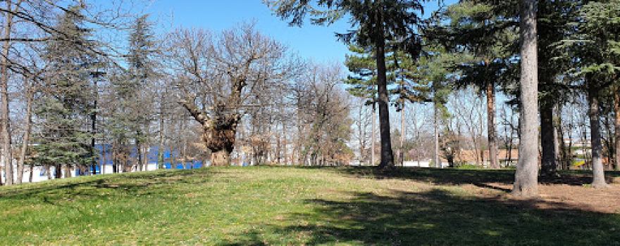 Park Lombardière
