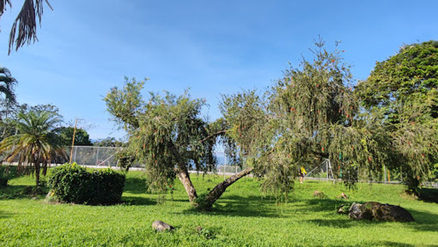 Complejo Deportivo Rogelio Alvarado Cubero