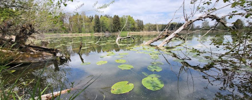 Bibersee