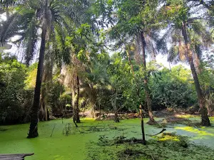 Musée Kadioute