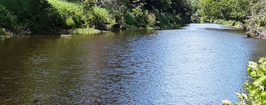 Stratton Brook