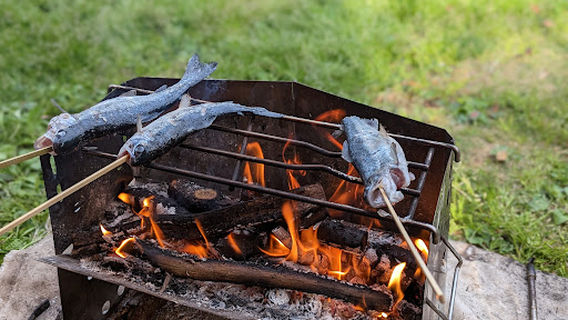 グリーンパル日向神峡