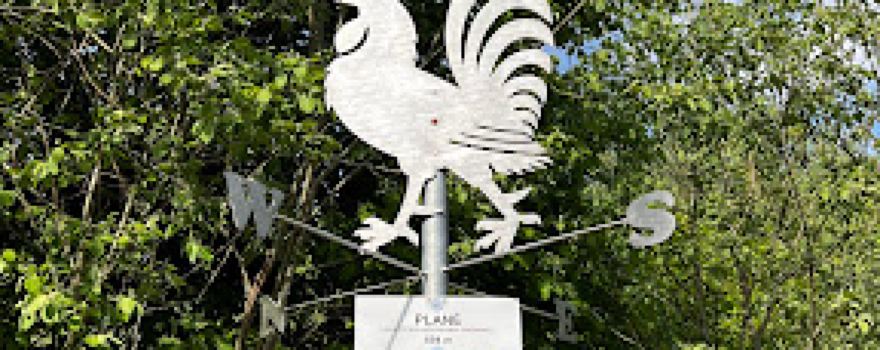 Svrčinovec Plané